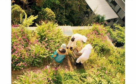 No.018 仙川はちみつマドレーヌ　プレーン