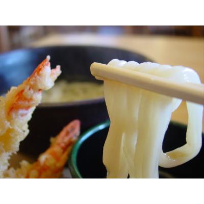ふるさと納税 美馬市 和ぁさんのおうどんいたれりつくせりセット6人前 |  | 03