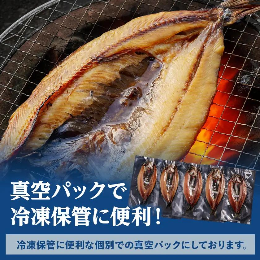 開きにしん一夜干し　5枚セット【配送不可地域：離島】【1682674】