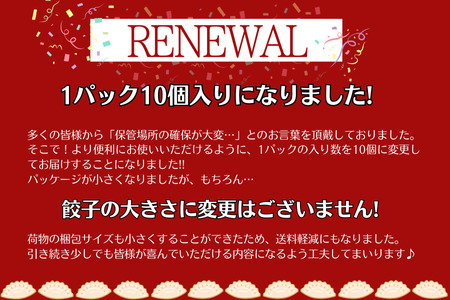 【定期便＿3ヶ月】【訳あり】肉汁溢れる冷凍肉餃子：4パック（計12パック）  餃子 ぎょうざ 冷凍餃子 肉餃子 豚肉 国産豚肉使用 冷凍生餃子 定期便