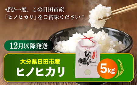 【先行予約・25年12月以降発送】令和7年産大分県産ヒノヒカリ 5kg 白米 白米 白米 白米 白米 白米　日田市 / JAおおいた日田グリーンセンター [ARDX006]