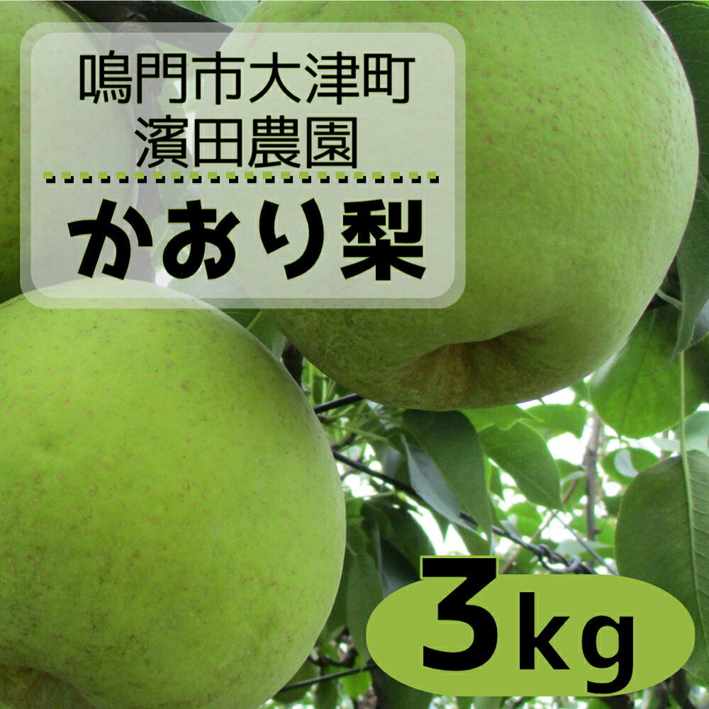 【ふるさと納税】【予約受付中・9月上旬～中旬より順次発送】 濱田農園 かおり梨 約3kg 【数量限定】 徳島県産 幻の梨 和梨 香梨 新興 幸水 国産 鳴門