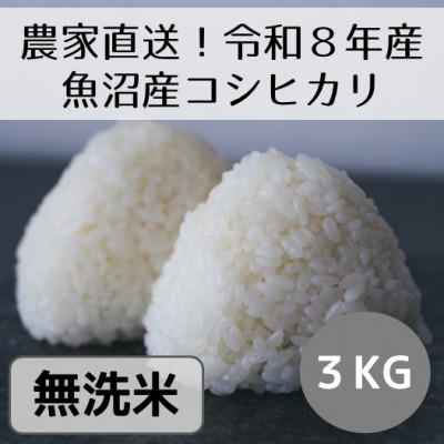 ふるさと納税 十日町市 【先行予約・令和8年産】新潟県魚沼産コシヒカリ「山清水米」無洗米3kg
