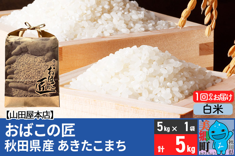 
            令和6年産 おばこの匠 秋田県産あきたこまち 5kg（白米）5kg袋 秋田こまち お米
          