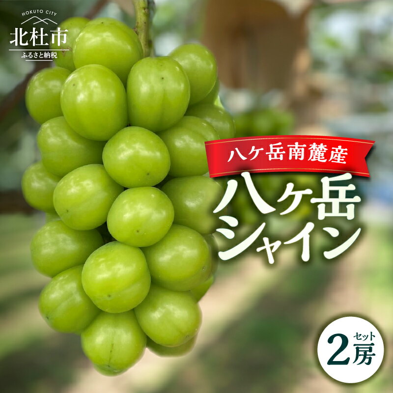 【ふるさと納税】 シャインマスカット 2025年 先行予約 2房 セット 約1kg 期間限定 数量限定 八ヶ岳シャイン 葡萄 ぶどう ブドウ シャイン マスカット フルーツ 果物 高品質 大粒 甘い 朝採り 山梨県 北杜市 八ヶ岳南麓 送料無料