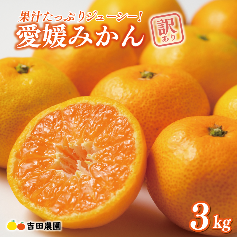 先行予約 訳あり 愛媛みかん 3kg 7000円 愛媛 みかん 温州みかん こたつ みかん mikan 蜜柑 ミカン 家庭用 産地直送 国産 農家直送 糖度 期間限定 数量限定 特産品 ゼリー ジュース アイス 人気 限定 甘い フルーツ 果物 柑橘 先行 事前 予約 受付 ビタミン 美味しい おいしい サイズ ミックス 吉田農園 愛南町 愛媛県