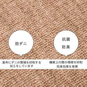 防ダニ カーペット 3畳 日本製 抗菌防臭 ノースポール 江戸間 176×261cm ベージュ【1638987】