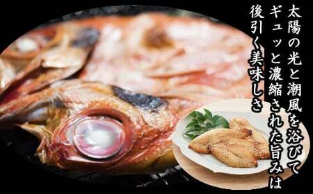 漁師の食卓定期便【１２回お届け】 [ry012]