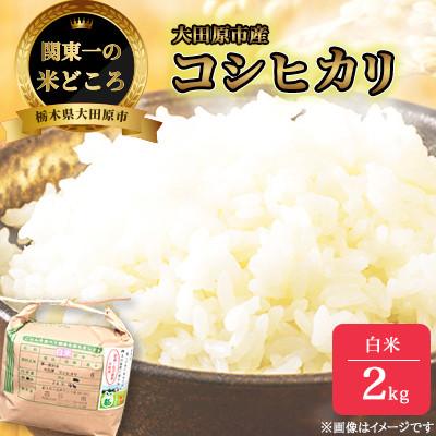 ふるさと納税 大田原市 【令和7年産新米 数量限定】古谷農産 栽培期間中農薬・化学肥料不使用 コシヒカリ 精米 2kg