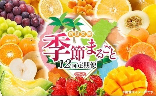 
                  【12回定期便】旬 人気 フルーツ 南国宮崎産 マンゴー 金柑たまたま シャインマスカット ピオーネ いちご みかん 日向夏 メロン 梨 柑橘 きんかん ぶどう 果物 詰め合わせ 宮崎県 九州 1年 毎月お届け＜Cコース M300＞
                