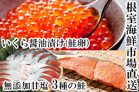無添加天然甘塩鮭紅鮭10切、秋鮭5切、いくら醤油漬け(鮭卵)70g×2P A-14096