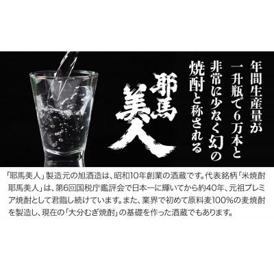 ふるさと納税 中津市 米焼酎・麦焼酎　耶馬美人25度　720ml×各5本 |  | 02
