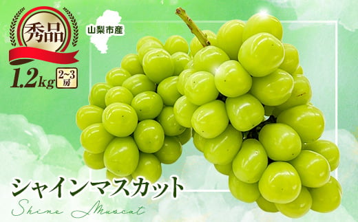 
            ＜2025年先行受付＞大人気!シャインマスカット秀 1.2kg(2～3房)【1442579】
          