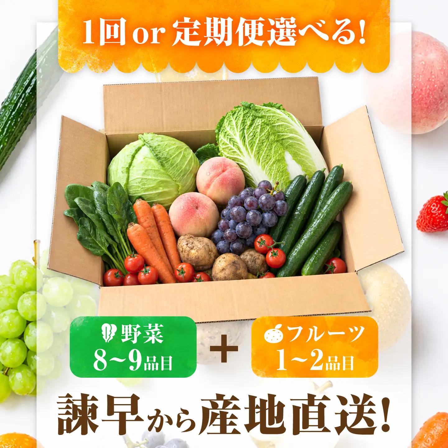 【3回定期便】【産地直送】長崎県諫早産 旬の野菜＆フルーツ詰め合わせ 9・11品目程度 季節のおまかせセット / 野菜 フルーツ 果物 セット 詰め合わせ 旬野菜セット 旬のフルーツ 旬 食べ比べ 産