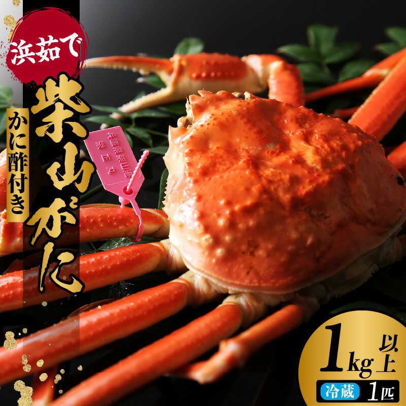 【ふるさと納税】1kg以上の身入り 浜茹で柴山がに（1kg以上）カニ 冷蔵 松葉蟹 松葉ガニ ボイル 蟹 ズワイガニ 兵庫県 香美町 柴山港 柴山蟹 柴山ガニ 鍋 刺身 蟹しゃぶ 兵庫県産 津居山 柴山 お歳暮 ギフト 高級 天然 冬の味覚 ブランド蟹 11月中旬以降 カネニ 06-02