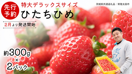 【 先行予約 】 ひたち姫 ( 2パック ) 特大 デラックス サイズ 【 2026年2月から発送開始 】( 茨城県共通返礼品 : 常陸太田市 ) いちご 数量限定 果物 くだもの フルーツ 苺 イチゴ ストロベリー 旬 大きい ひたち 甘い あまい