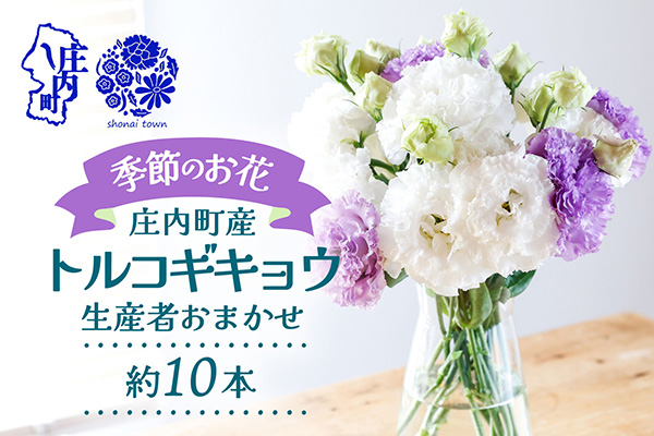【R8.9月下旬発送】トルコギキョウ 10本 切り花 生産者おまかせ 2~3色ミックス トルコキキョウ 八重咲き フリンジ咲き 生花 花束 冷蔵便 国産 庄内町フラワーラボ 10本
