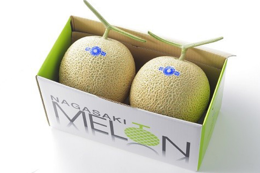 AJ651 【令和8年7-8月出荷分】 堀農園 マスクメロン 2玉 [ メロン めろん 青肉メロン 黄緑 果物 フルーツ おいしい 甘い 堀農園 長崎県 島原市 ]