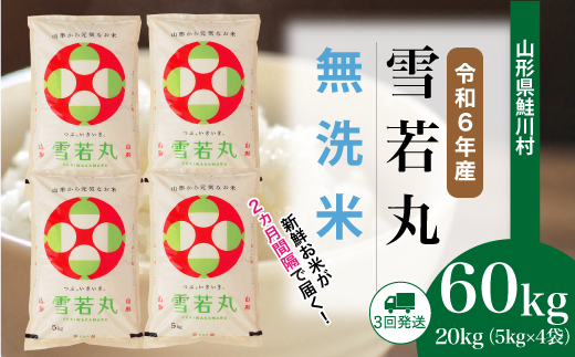 ＜令和6年産米＞ 山形県産 雪若丸【無洗米】60kg定期便(20kg×3回)　 配送時期指定できます！ 鮭川村