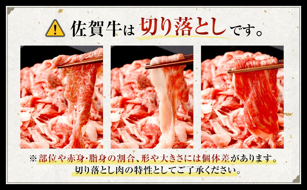 博多和牛ステーキ（ヒレ）2枚＋佐賀牛切り落とし400g