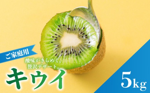 キウイフルーツ ヘイワード 5kg サイズ混合 家庭用 【先行予約 2026年10月下旬から発送】 | きうい 果物 キウイくだもの フルーツ おすすめ  人気 お取り寄せ グルメ ギフト 期間限定 数量限定 ご当地 愛媛県 松山市