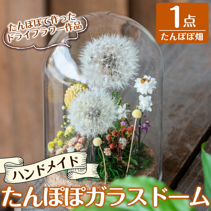 【ふるさと納税】たんぽぽガラスドーム・たんぽぽ畑(1点)霧島市 インテリア たんぽぽ ガラスドーム 置き物 ドライフラワー ハンドメイド【かわいち国分】