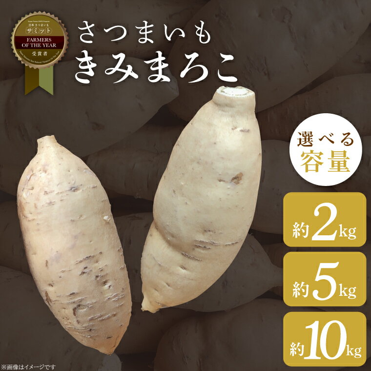 【ふるさと納税】【選べる内容量】【2025年11月より順次発送】2025年度産 さつまいも きみまろこ 約2kg・5kg・10kg｜さつまいも 芋 お芋 きみまろこ 渋谷農園 先行予約 茨城県 行方市(BZ-44)