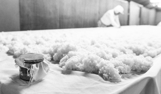 《美酒コンクール金賞》【玉乃光酒造】純米吟醸 青まねきつね・米焼酎まねきつね セット（化粧箱入り）［ 京都 伏見 日本酒 焼酎 お酒 飲み比べ 2本 人気 おすすめ お取り寄せ 通販 送料無料 ふるさ