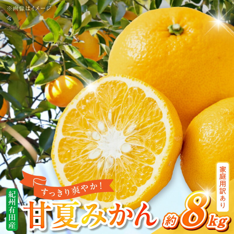 【ふるさと納税】【限定】【 2026年先行予約】 訳あり 紀州 有田産 甘夏みかん 8kg 甘さ すっきり 爽やか 酸味 バランス 絶妙 家庭用 甘夏 みかん 果物 果実 デザート 春柑橘 お取り寄せ 和歌山県 湯浅町 送料無料