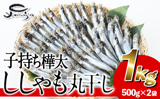 子持ち樺太ししゃも丸干し (計1kg・500g×2袋) 干物 ししゃも シシャモ 丸干し 魚 海鮮 冷凍 大分県 佐伯市【AP82】【ヤマジン】