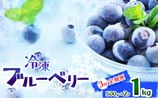 【先行予約】【定期便3回】完熟 冷凍ブルーベリー  約 1kg | 完熟 冷凍 Blueberry ブルーベリー ベリー 不揃い 果物 くだもの 健康意識 美意識 ヨーグルト スムージー 栃木県 那珂川町 送料無料