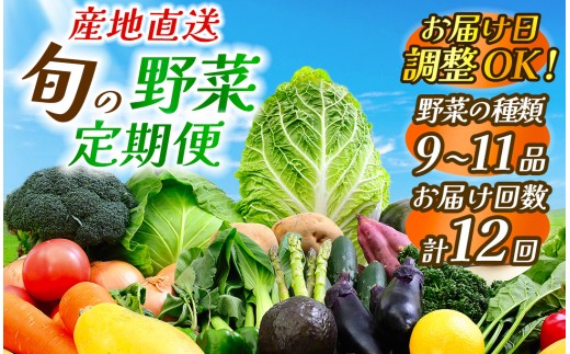 野菜 定期便【12回定期便】 旬の野菜 1年間の定期便　【 詰め合わせ 詰合せ 旬 セット 定期便 毎月連続お届け 野菜 野菜セット 新鮮 野菜詰め合わせ 旬野菜 やさいセット やさい 旬 野菜定期便