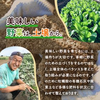 野菜セット 定期便 6ヶ月 旬の採りたて 野菜 フルーツ 詰め合わせ セット 野菜定期便 野菜詰め合わせ フルーツ詰め合わせ フルーツセット 季節の野菜 季節の果物 くだもの 果物 果樹 神奈川 定期