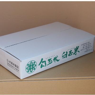 ふるさと納税 糸魚川市 【毎月定期便】新潟県産こしいぶき『臼玉米』5kg全9回 |  | 02