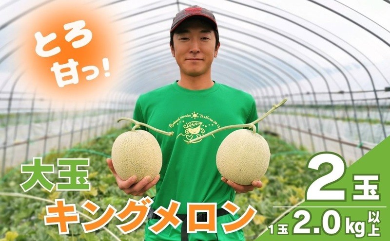 
                  【大玉】とろける舌触り！東山農場産キングメロン 2玉　G028
                