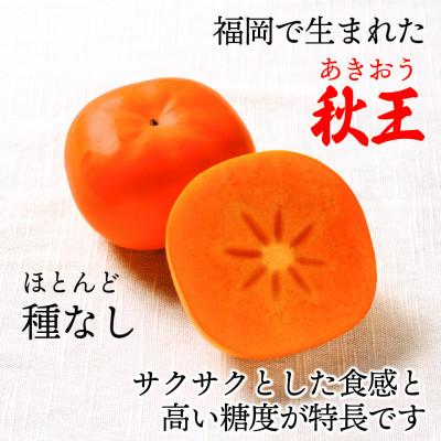 ふるさと納税 太宰府市 【2026年10月下旬より順次発送】福岡県ブランド柿「秋王」約1.2kg3Lサイズ4玉入(太宰府市) |  | 01