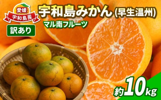 訳あり 宇和島 みかん 早生温州 約10kg マル南フルーツ 先行予約 訳ありみかん 温州みかん 早生 温州 サイズ不揃い サイズミックス 果物 くだもの フルーツ 柑橘 蜜柑 訳アリ 訳あり品 訳有り わけあり 愛媛みかん 愛媛ミカン 甘い フルーティ 数量限定 産地直送 国産 愛媛 宇和島 B010-106017