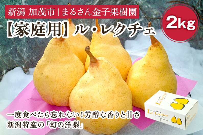 
                  【2026年先行予約】【家庭用】ル・レクチェ 2kg（5〜7玉）《11月下旬から順次発送》 果物 梨 洋梨 西洋梨 フルーツ 訳あり 冬の味覚  デザート 産地直送 加茂市 まるさん金子果樹園
                