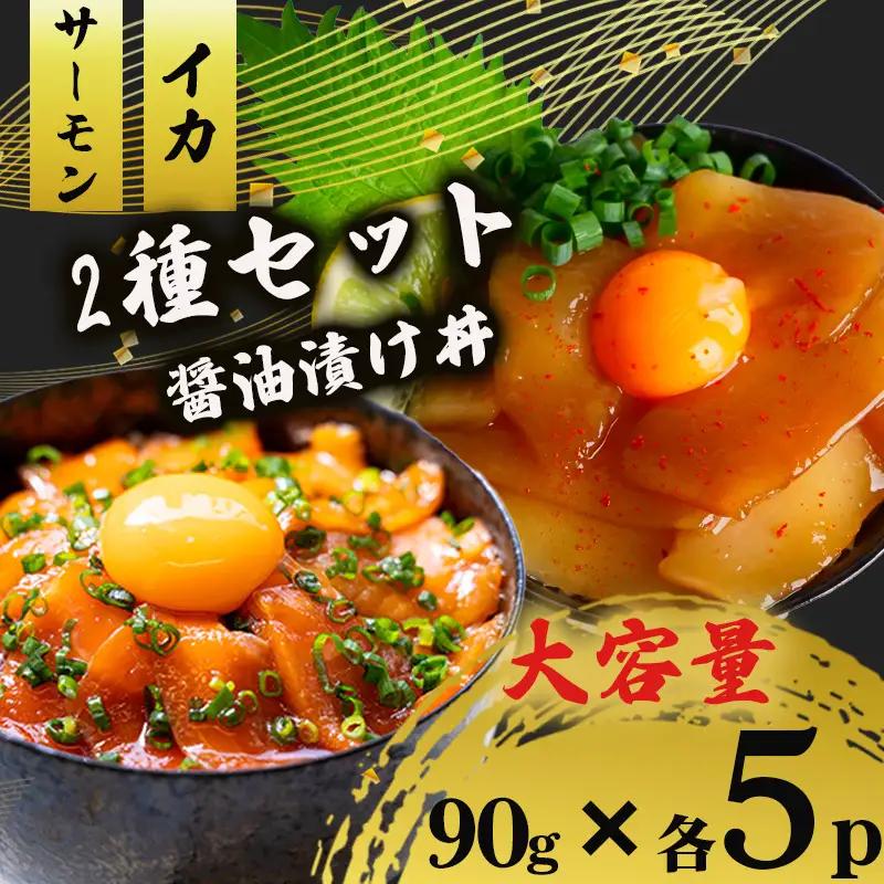 2種 醤油 漬け丼 90g×各5パック サーモン イカ 