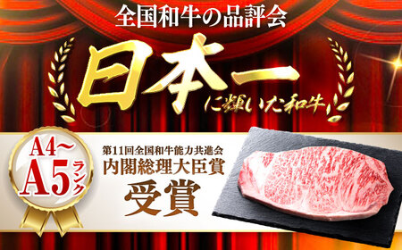 【全12回定期便】おおいた和牛 サーロインステーキ 250g (250g×1枚) 日田市 / 株式会社OTOGINO[AREF139]