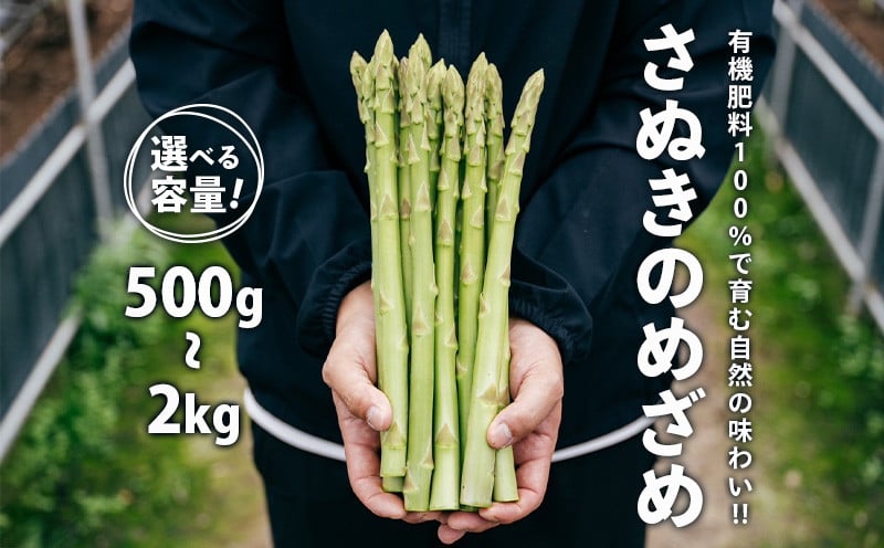 
            グリーンアスパラガス さぬきのめざめ 500g 1kg 1.5kg 2kg 朝採れ 鮮度バツグン 有機肥料 早朝収穫 人気 シャキシャキ 食感 新鮮 瑞々しい 甘い 歯ごたえ ロングサイズ  アスパラガス 農場 収穫 特別品質 高品質 希少品質 美しい フレッシュ 品種改良 減農薬 野菜 旬 丸亀市 藤井農園
          