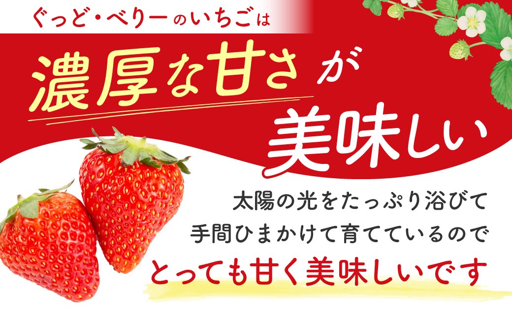 
                  いちご4パック(みおしずく+おまかせ)  いちご農園ぐっど・べりー 滋賀県 東近江市 A-B03 いちご 苺 みおしずく 滋賀県産 食べ比べ フルーツ 果物 デザート 旬 直送 大容量
                