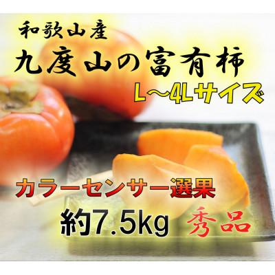 ふるさと納税 九度山町 【2025年発送】九度山の富有柿 秀品 7.5キロ カラーセンサー選果L〜4Lサイズ(32〜22玉)