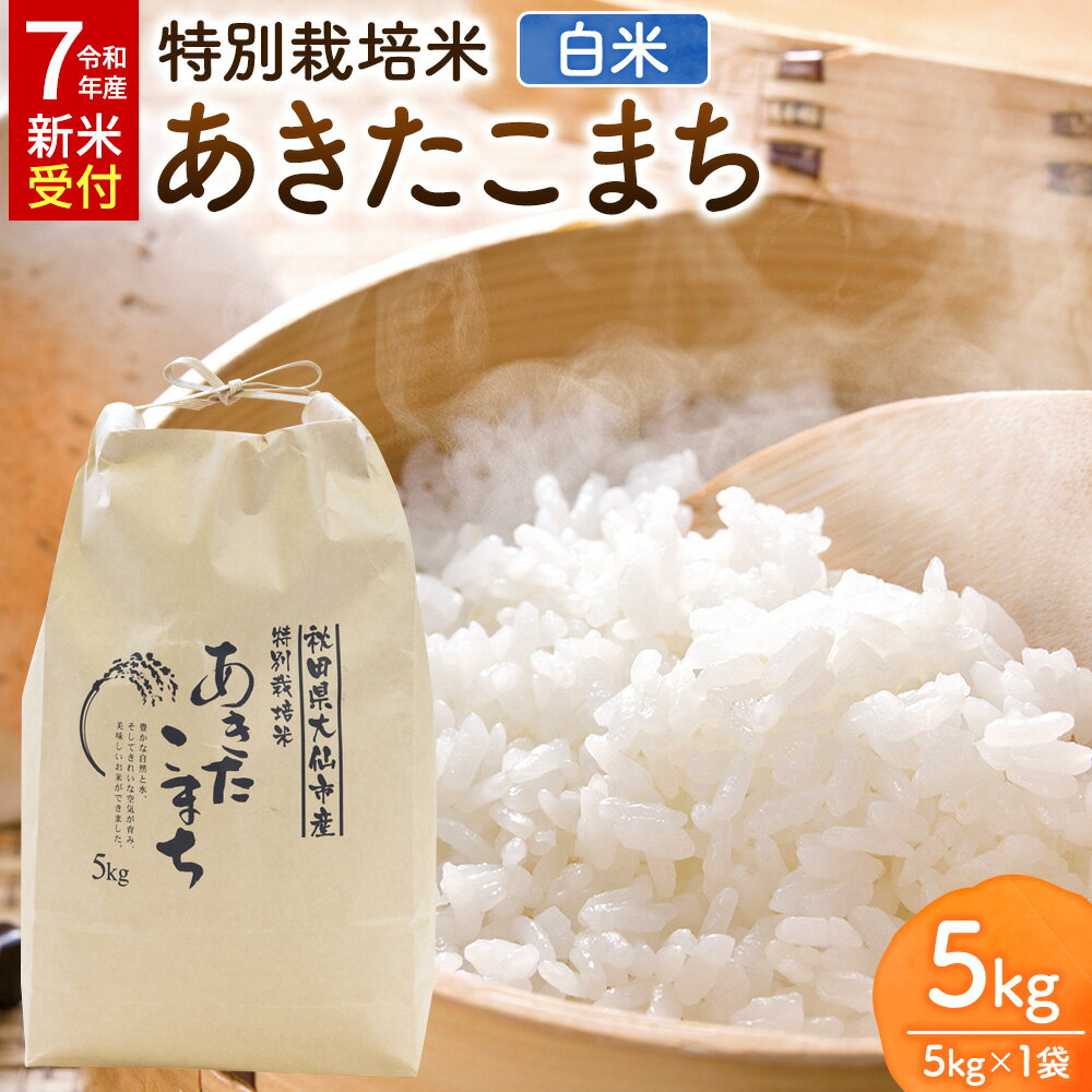 【ふるさと納税】米 特別栽培米 あきたこまち【精白米】5kg×1袋 ローズメイ 秋田県 大仙市産