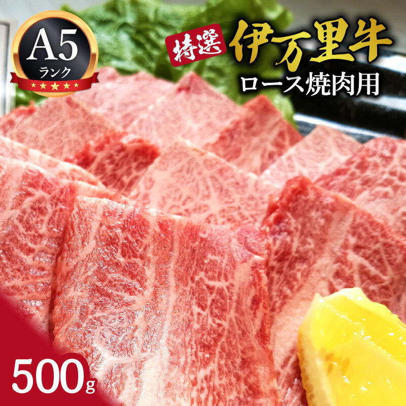 【ふるさと納税】特選伊万里牛（A5）ロース焼肉用 500g 044-J1100