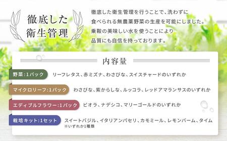 飛騨高山野菜『おおごっつぉ』詰合せ ＆ 缶で育てるハーブ栽培キット（ミニサイズ）| 野菜 グリーンリーフ エディブルフラワー 家庭菜園 リーフ 葉野菜 ハーブ 飛騨高山 株式会社FDS HS002
