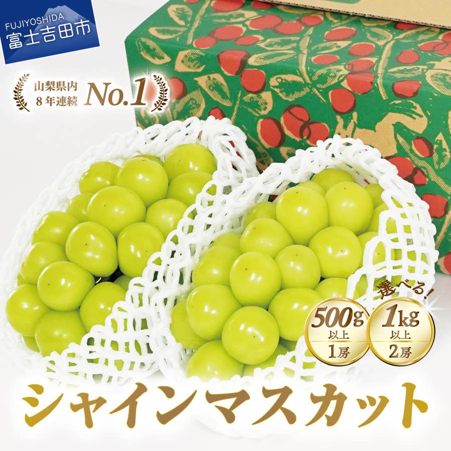 【ふるさと納税】 シャインマスカット 数量限定 選べる内容量 お試し 500g 1kg以上 選べるお届け回数 2回 3回 定期便 期間限定 送料無料 フルーツ 果物 ぶどう ブドウ マスカット ふるさと納税 厳選 ジューシー 甘さ抜群 山梨 富士吉田市 《 2025年発送 》
