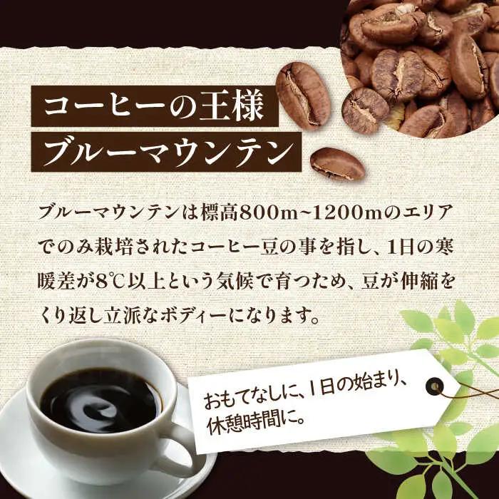 【全6回定期便】ブルーマウンテン NO.1 ブレンド コーヒー ( 浅煎り )[VAS168] 珈琲 コーヒー 