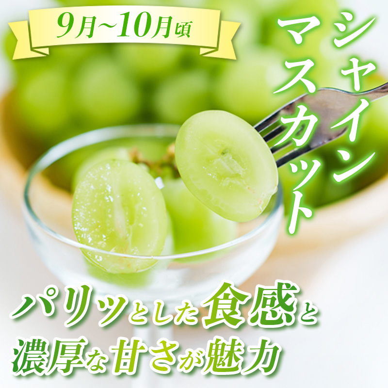 【定期便3回】☆んま～い山形☆山形フルーツ売れ筋3種定期