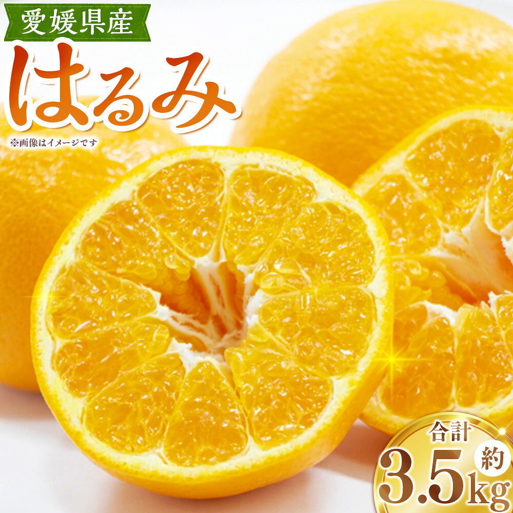 【ふるさと納税】 はるみ 約3.5kg 4L～3L みかん ミカン 蜜柑 柑橘 かんきつ フルーツ くだもの 果物 果実 デザート 愛媛県産 国産 愛媛県 送料無料 【2027年1月下旬～2月上旬発送予定】（1125）